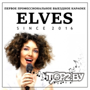 &quot;ELVES&quot; - профессиональное выездное караоке Брест.